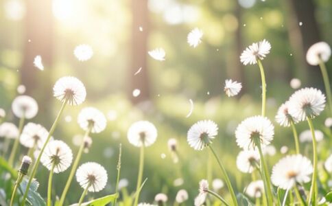 電商平臺(tái)升級(jí)案例