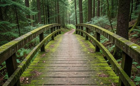 陽泉市廣佳盛貿易有限公司