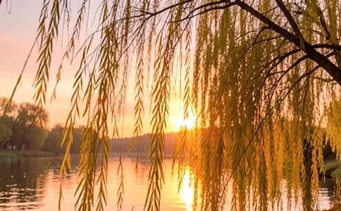 陽泉市廣佳盛貿易有限公司