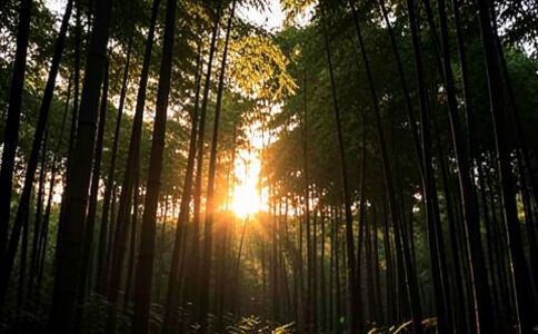 醫(yī)療系統(tǒng)集成案例