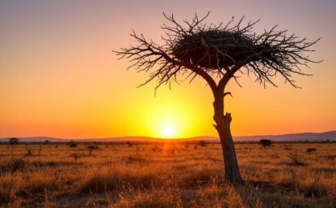 品牌形象設(shè)計