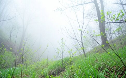 電商平臺升級案例