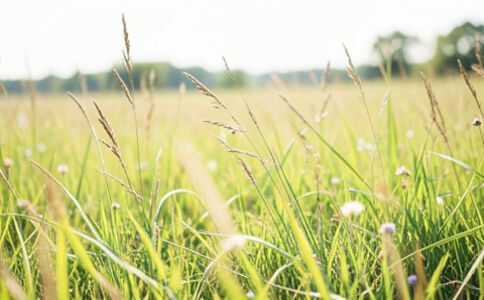 金融系統開發案例