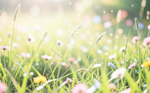 醫(yī)療系統(tǒng)集成案例