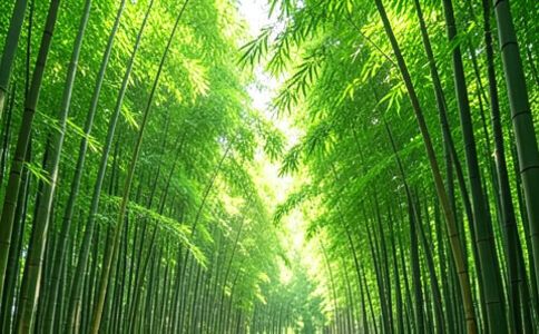 陽(yáng)泉市廣佳盛貿(mào)易有限公司