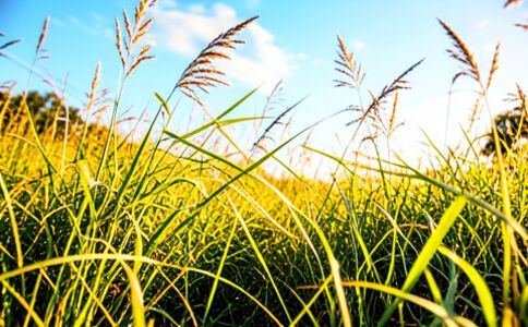 電商平臺升級案例