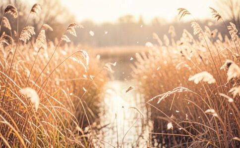 陽泉市廣佳盛貿(mào)易有限公司