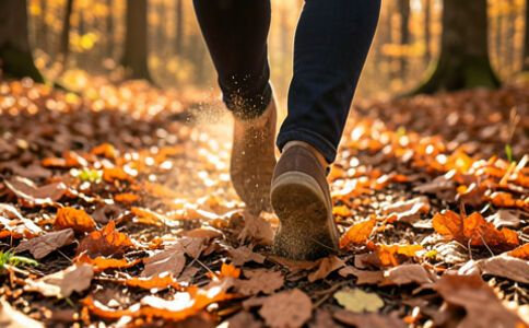 電商平臺升級案例