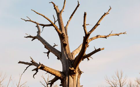 金融系統(tǒng)開發(fā)案例