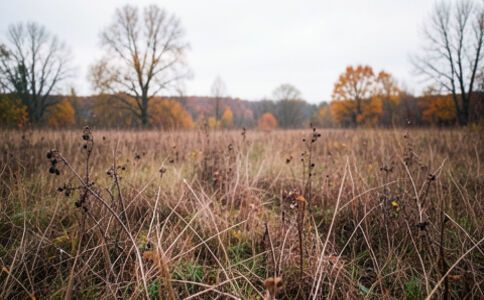 電商平臺升級案例