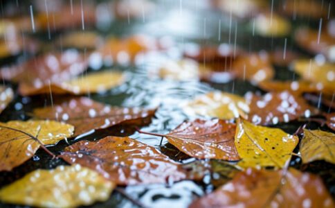 陽泉市廣佳盛貿(mào)易有限公司