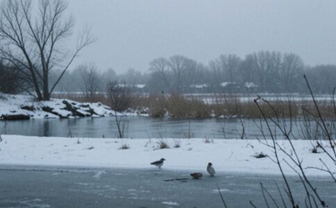 醫療系統集成案例