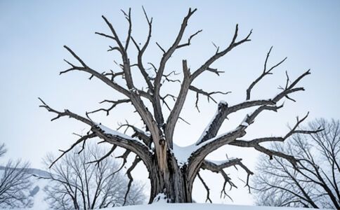 醫(yī)療系統(tǒng)集成案例