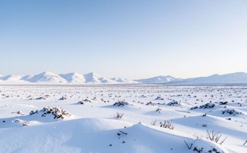 品牌形象設(shè)計