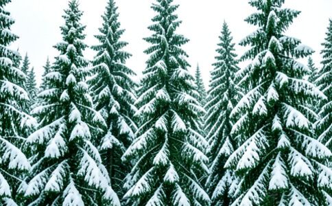 金融系統開發案例