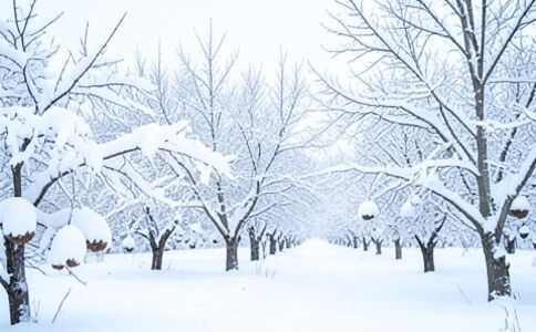 陽泉市廣佳盛貿易有限公司