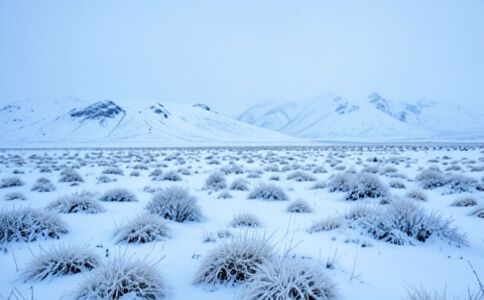 電商平臺升級案例