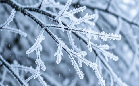 金融系統(tǒng)開發(fā)案例