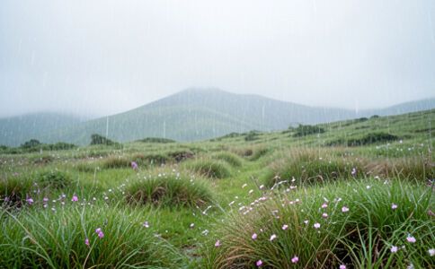 電商平臺升級案例