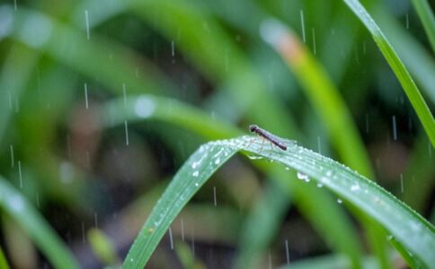 金融系統開發案例