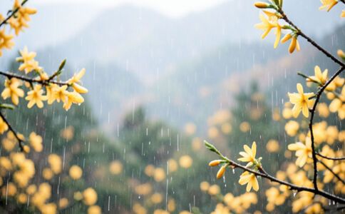 陽泉市廣佳盛貿易有限公司