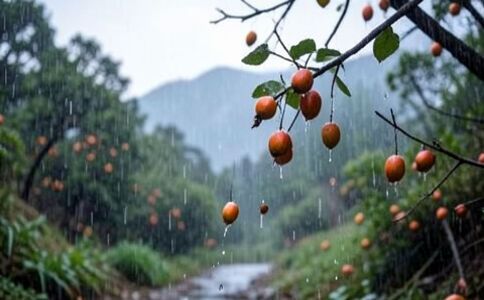 電商平臺升級案例