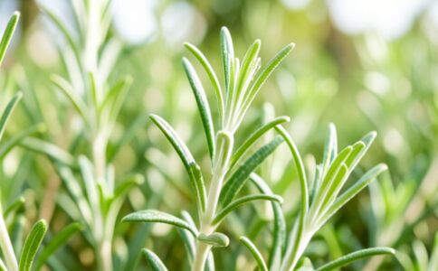 陽(yáng)泉市廣佳盛貿(mào)易有限公司