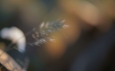 陽泉市廣佳盛貿(mào)易有限公司