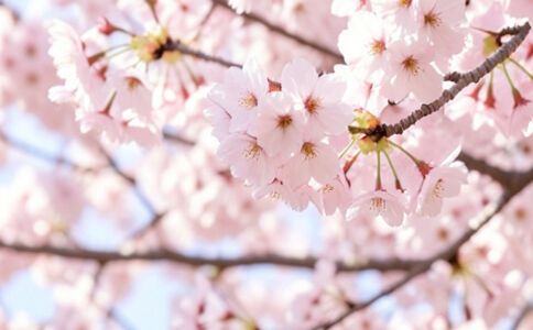 電商平臺升級案例