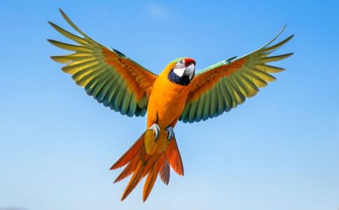 金融系統開發案例