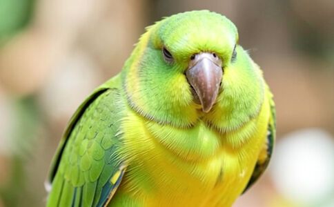 醫(yī)療健康案例