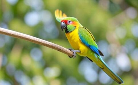 金融系統開發案例