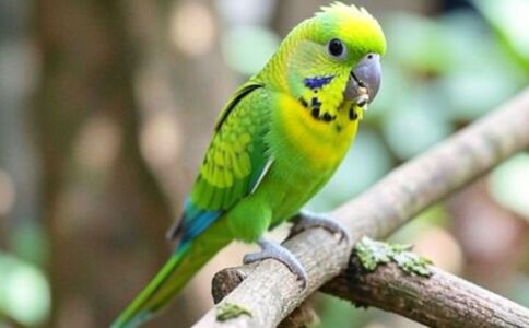 陽泉市廣佳盛貿易有限公司