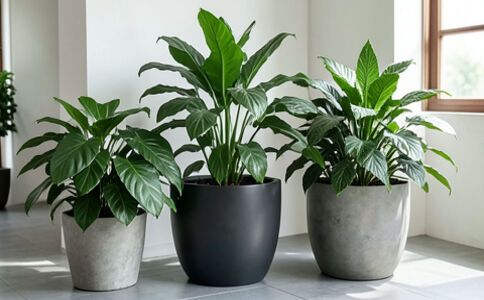 陽泉市廣佳盛貿易有限公司