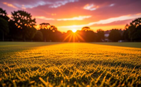 海口市翔裕迪信息科技有限公司