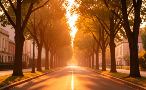 電商平臺升級案例