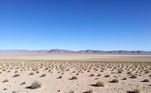 電商平臺升級案例