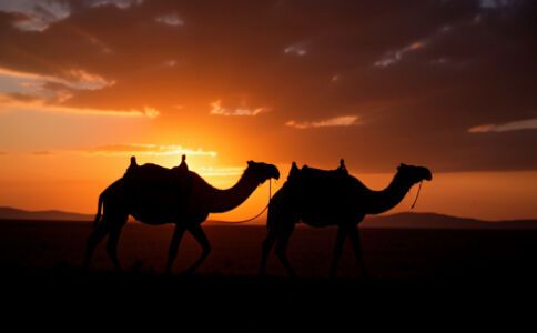 陽泉市廣佳盛貿易有限公司