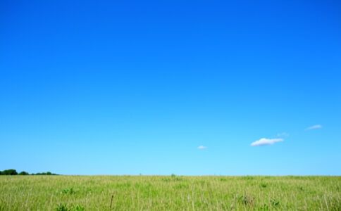 金融系統(tǒng)開發(fā)案例