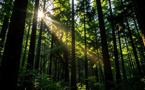 金融系統開發案例