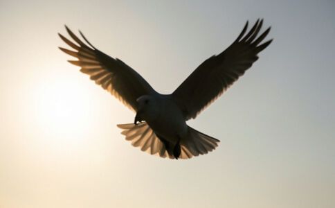 陽泉市廣佳盛貿(mào)易有限公司