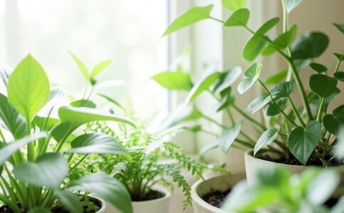 醫療系統集成案例