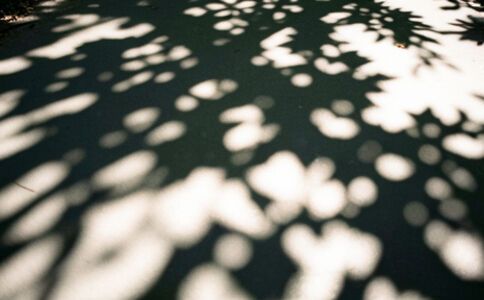 醫療系統集成案例