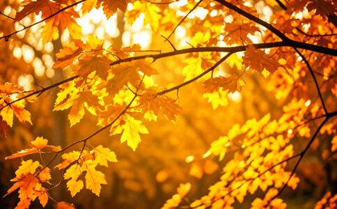 陽(yáng)泉市廣佳盛貿(mào)易有限公司