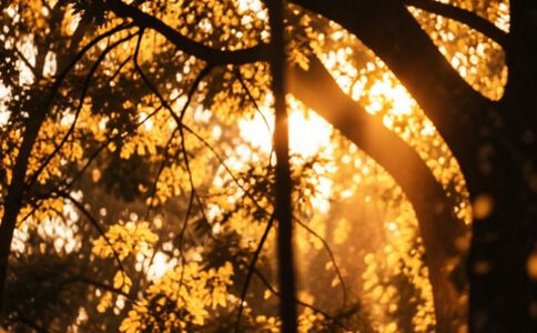 陽泉市廣佳盛貿易有限公司