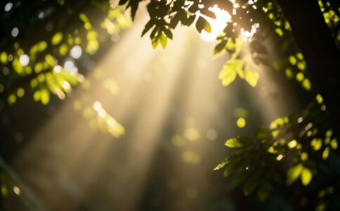 電商平臺升級案例