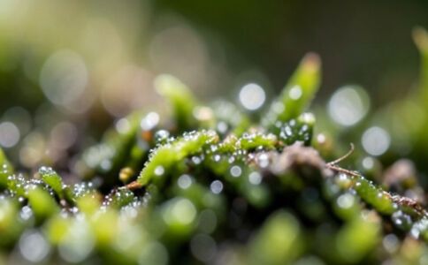 金融系統開發案例