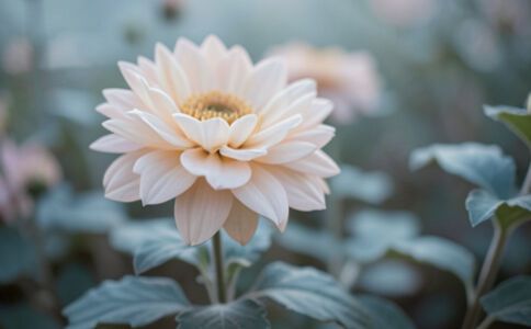 金融系統開發案例