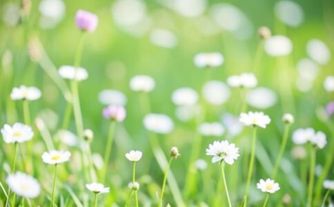 陽泉市廣佳盛貿易有限公司