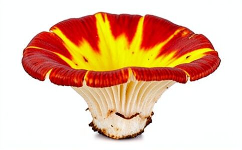 金融系統開發案例